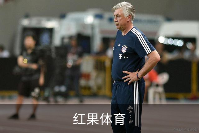 红果体育公司介绍图片